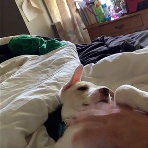 Meet your Posher, Mackenzie